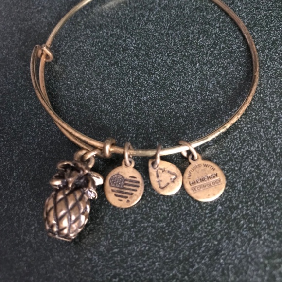 Alex and Ani Expandable Wire Bracelet Pineapple Charm - Picture 5 of 13